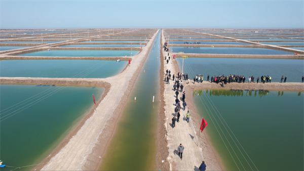 【集團快訊】好蟹苗，好潤造！2023好潤國蟹種蟹掛籠觀摩會霸屏票圈！