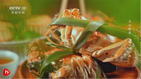 央視報(bào)道 | “好潤(rùn)1號(hào)”憑借品質(zhì)出圈！