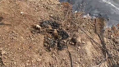 圖片18